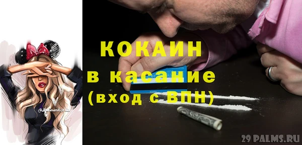 бошки Алексин