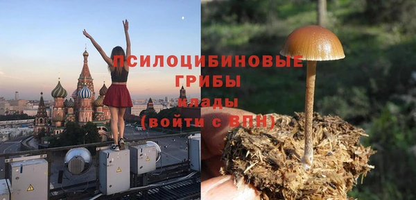 соль ск Алексеевка