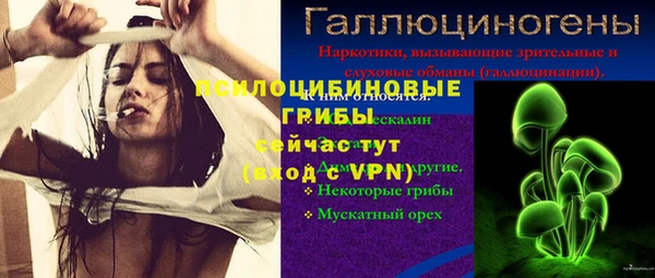 соль ск Алексеевка