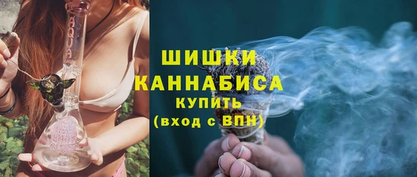 бошки Алексин